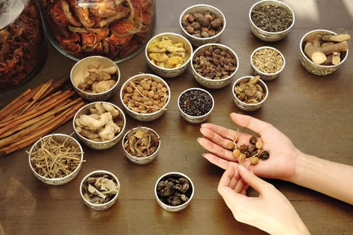 Crude drugs, dried medicinal herbs sorted in bowls